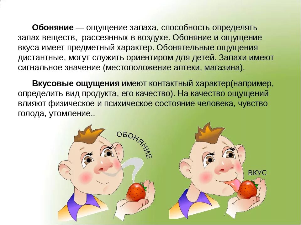 Человек запаху определяет