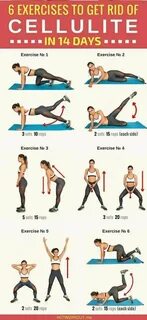 Net exercise