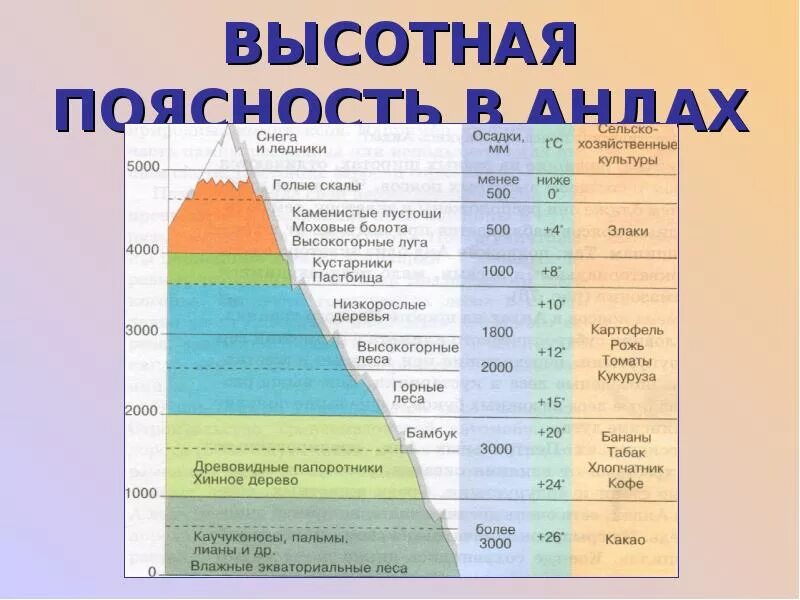 Высотная поясность таблица природные зоны. Высотная поясность в Андах. Высотная поясность Южной Америки анд. Высотная поясность в Андах 7 класс. Климат ВЫСОТНОЙ поясности в России.