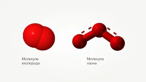 Сколько химических элементов в молекулах кислорода