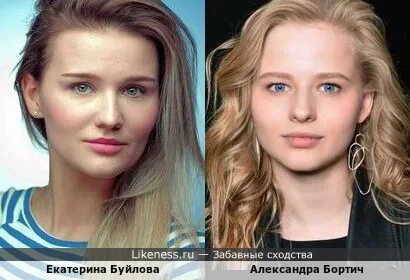 Шпица и бортич