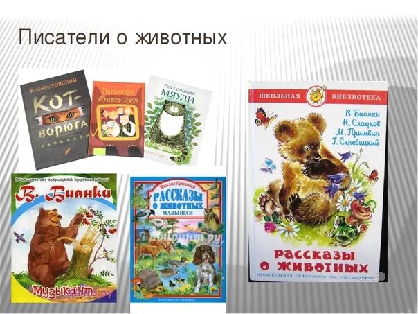 Писатели о животных 4 класс. Произведения о животных. Писатели о животных. Детские Писатели о природе и животных. Авторы произведений о животных.