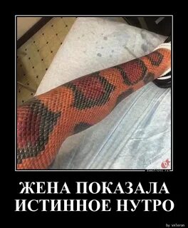 Разъедаешь мне нутро
