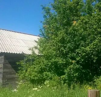 Дзержинский новосибирская область