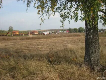Медведево орел