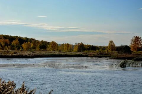 Краснознаменское курганская область