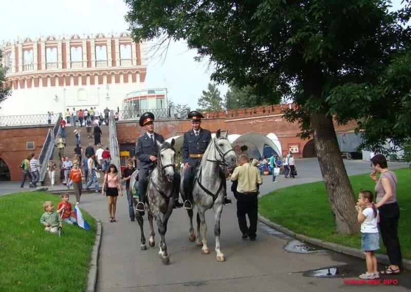 Конная полиция в Москве. Московский конезавод 1. Конная полиция Великий Новгород. Гужевая полиция.