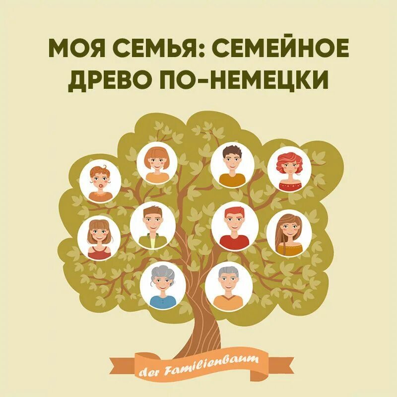 Родословное древо на немецком языке. Семейное древо на немецком. Генеалогическое дерево по английскому 5 класс. Генеалогическое древо семьи на немецком языке. Генеалогическое древо семьи на немецком языке.