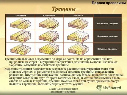 Перечислите пороки древесины снижающие ее