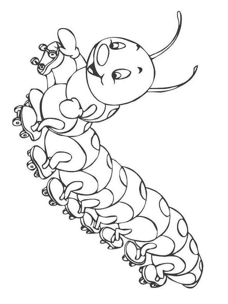 Раскраски насекомые для детей 5 6. Гусеница листовертка раскраска. Гусеница раскраска для детей. Насекомые раскраска для детей. Раскраска гусеница для малышей.
