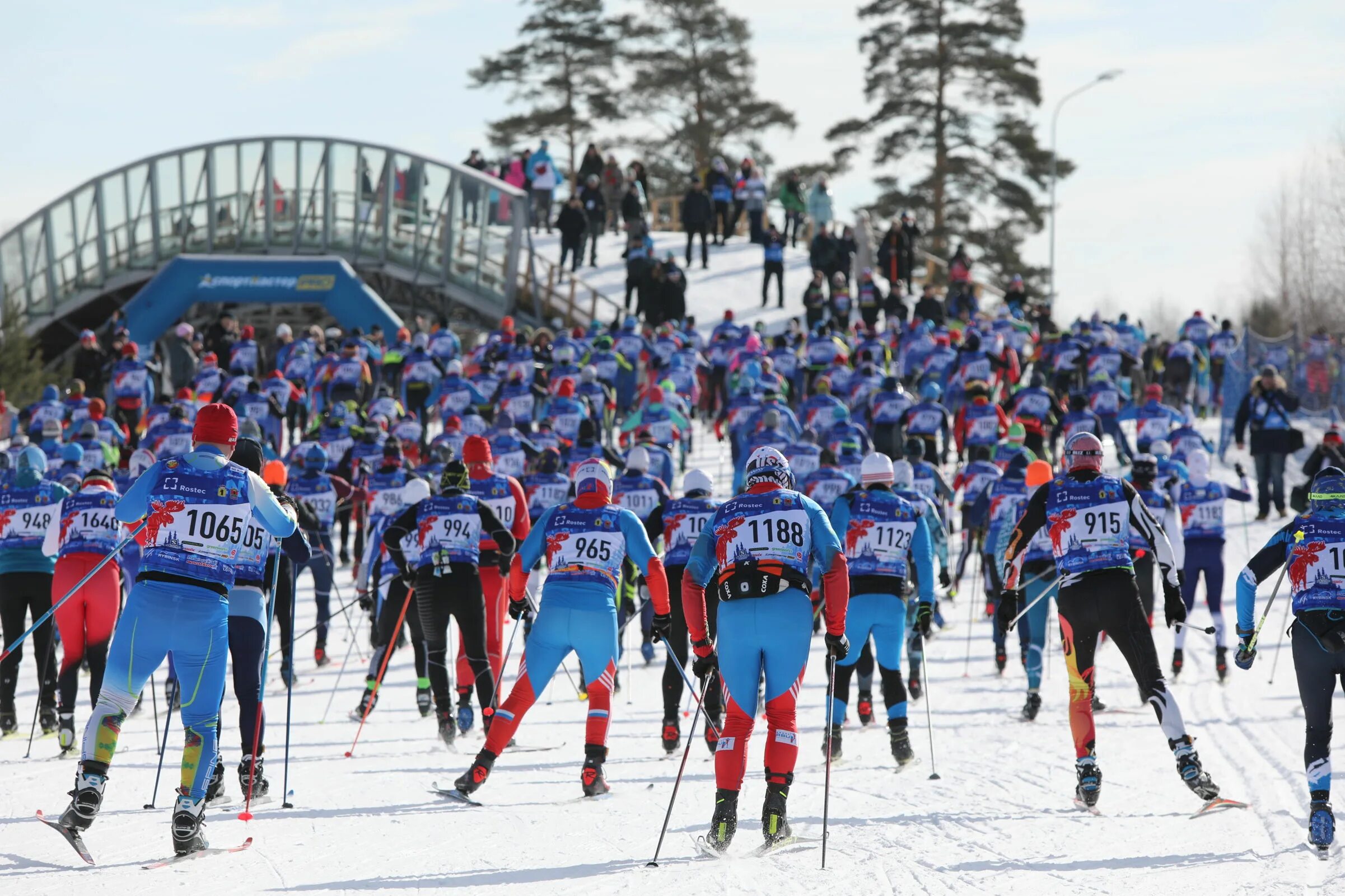 Последние спортивные новости на сегодня