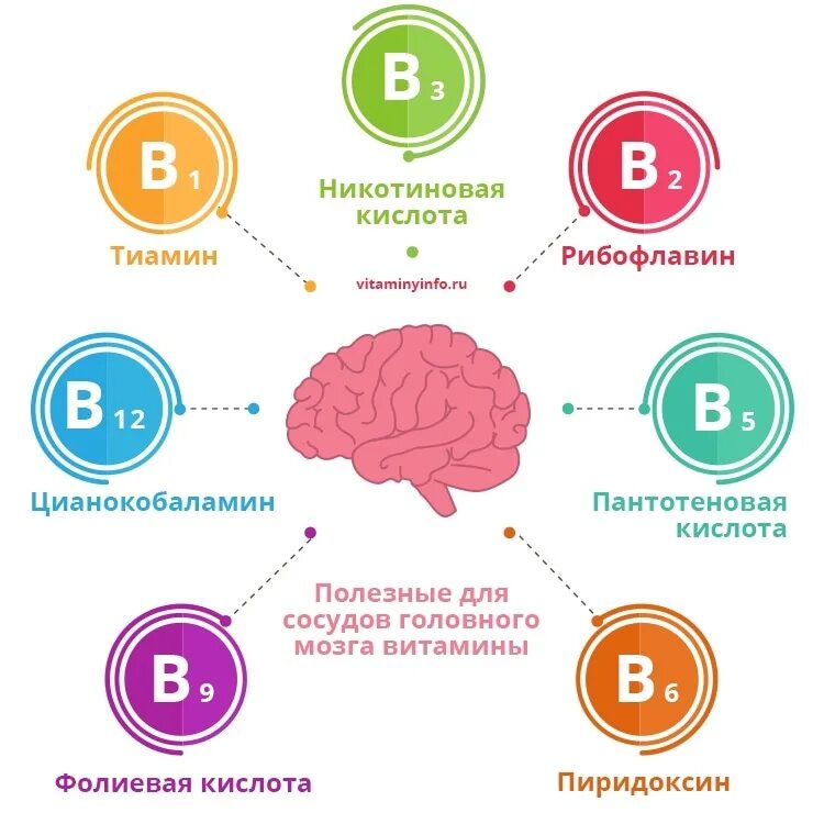 Какие продукты улучшают кровообращение. Витамины для сосудов головного мозга. Витамины полезные для мозгов. Витамины полезные для мозга. Витамины полезные для сердца.