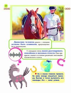 Кон инструкция