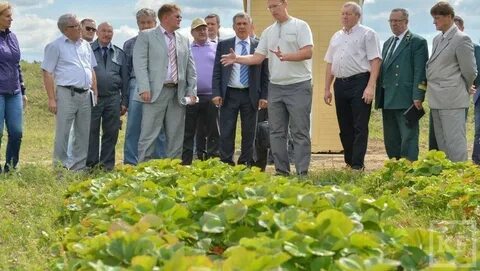 Агрополе