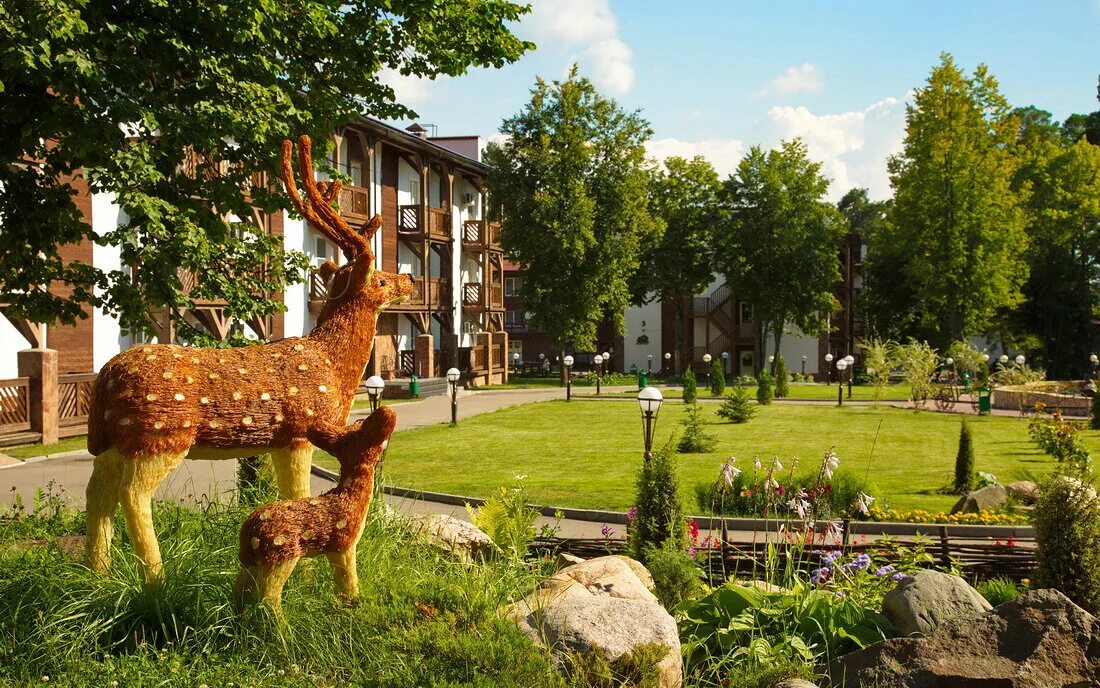 парк-отель яхонты таруса 4*. парк-отель яхонты таруса 4*. яхонты таруса калужская область. калуга яхонты таруса. парк-отель яхонты таруса 4*.