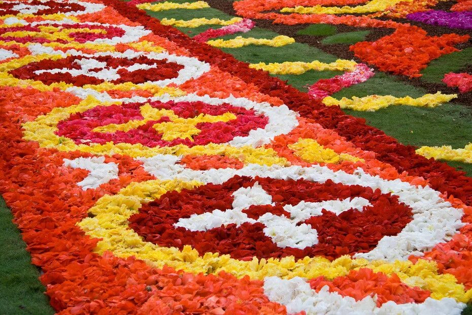 Пестрая страна. Фестиваль "цветочный ковер" (Flower Carpet), Брюссель, Бельгия.. Ковер из живых цветов в Брюсселе. Ковровые цветники. Ковровая клумба.