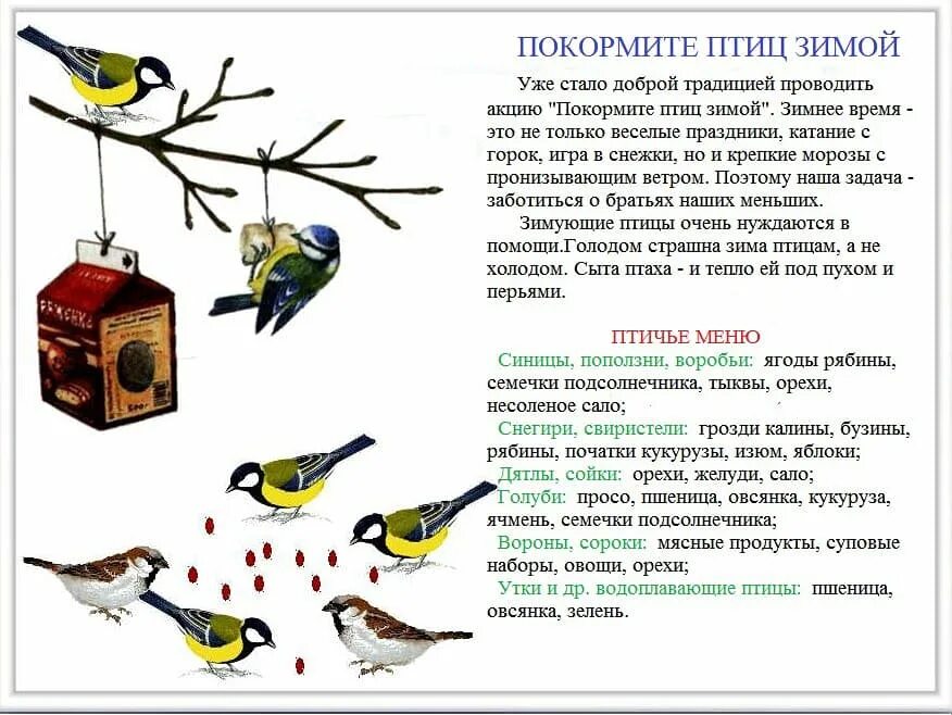 Сыпать в кормушку. Покормите птиц зимой. Акция Покормите птиц зимой. Птицы зимой для детей. Зимующие птицы для дошкольников.