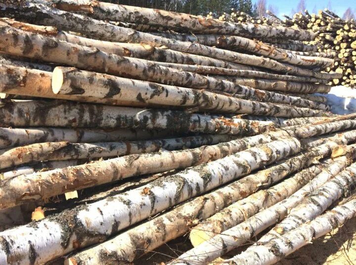 Газ 53 дрова осина. Камаз дрова кругляк 4м. Лесовоз дров. Длинномером доски на дрова. Камаз дров 10 кубов.