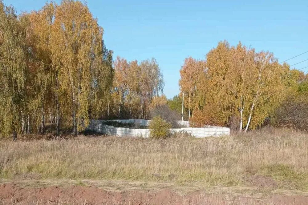 Поселок буревестник богородский. Скотомогильники в Нижегородской области. Посёлок Буревестник Богородский район. Буревестник Богородский район Нижегородской области. Скотомогильник Бурцево.