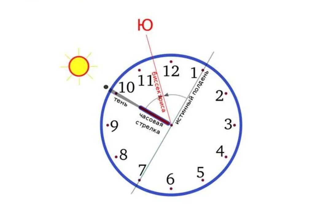 В 7 вечера где солнце. Ориентироваться по часам со стрелками. Юг по часам. Ориентирование по часам.