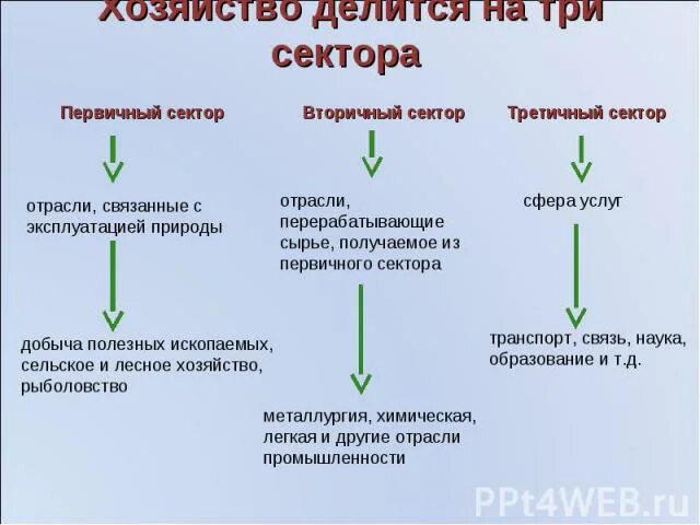 Относится к первичной экономике. Первичный сектор вторичный сектор третичный сектор. Первичный сектор экономики. Экономика первичный сектор вторичный сектор схема. Первичный вторичный третичный сектор хозяйства.