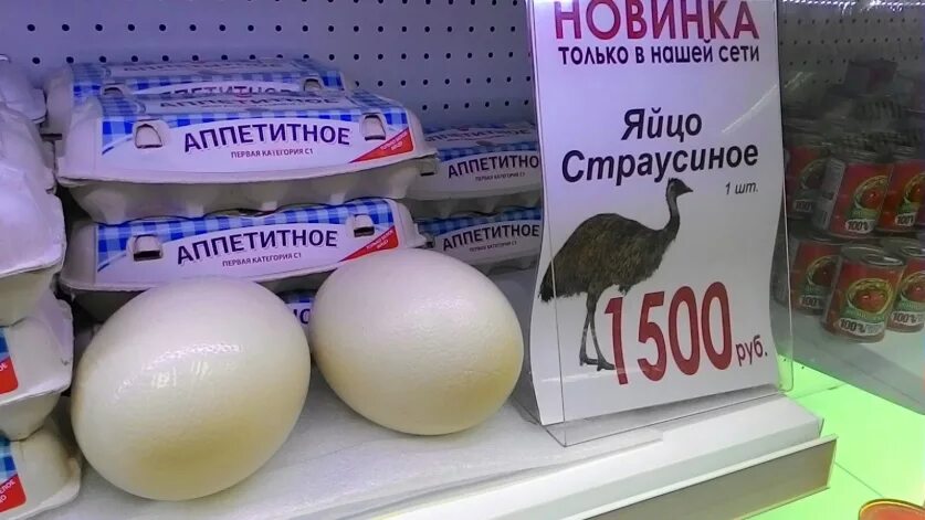 Яйца купить ставрополь. Страусиное яйцо. Яйца страусов. Россия магазин страусиное яйцо. Яйцо страуса смешное.
