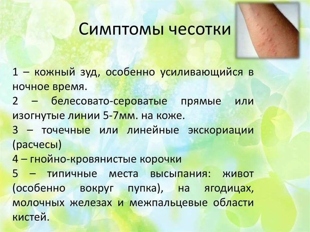 Почему человек постоянно чешется. Чесотка клинические проявления.