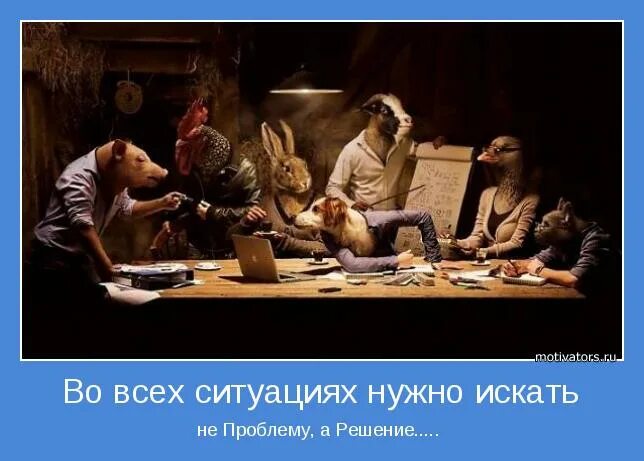 найди предмет в комнате. живи сам и дай жить другим. искать нужно было. искать нужно было. мудрые мысли о счастье.