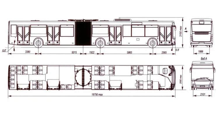 Габариты автобуса ЛИАЗ 6213. Автобус гармошка ЛИАЗ габариты. Габариты автобуса МАЗ-216. Автобус МАЗ 215069.