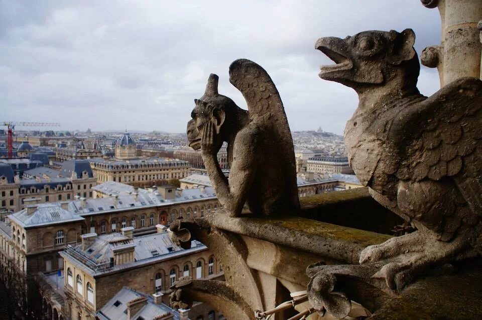 Нотр дам театр. Вид на Лувр с собора Парижской Богоматери. Нотр дам де пари.