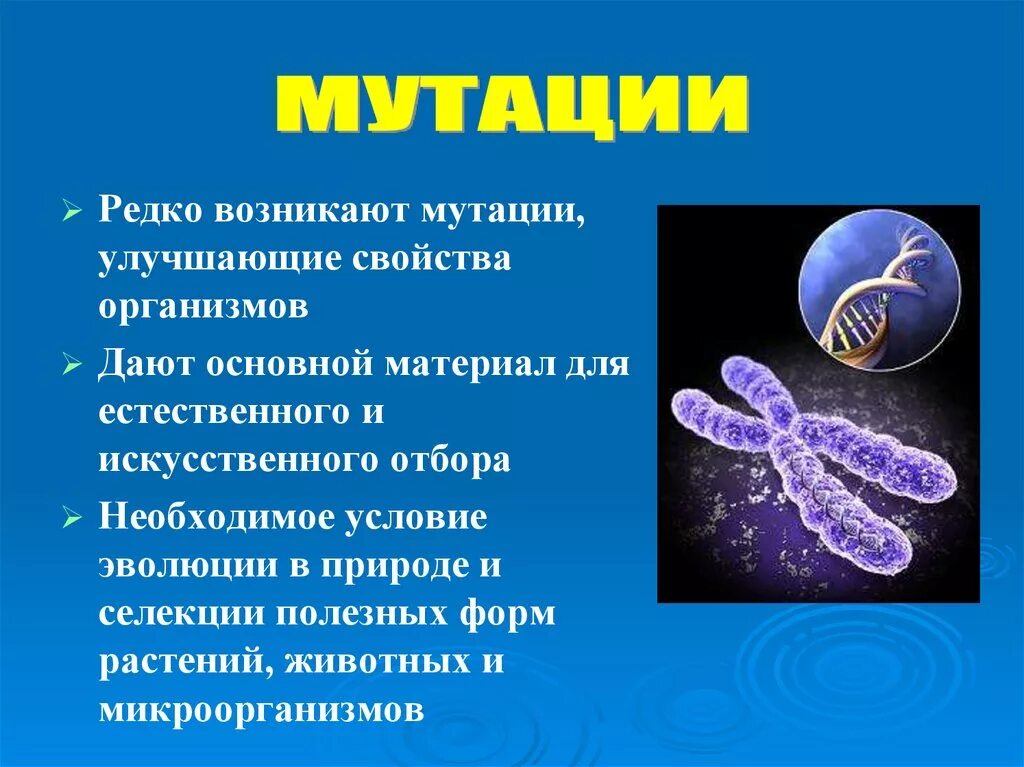 Типы генных мутаций таблица. Мутации живых организмов. Мутации организмов. Последствия генных мутаций. Таблица классификация мутаций 10 класс.