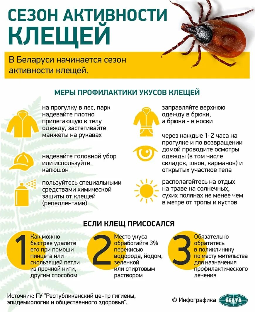 От укусов клещей лекарство. Ремантадин действующее вещество. Что делать при укусе клеща. Ремантадин таблетки. Ремантадин при укусе клеща.