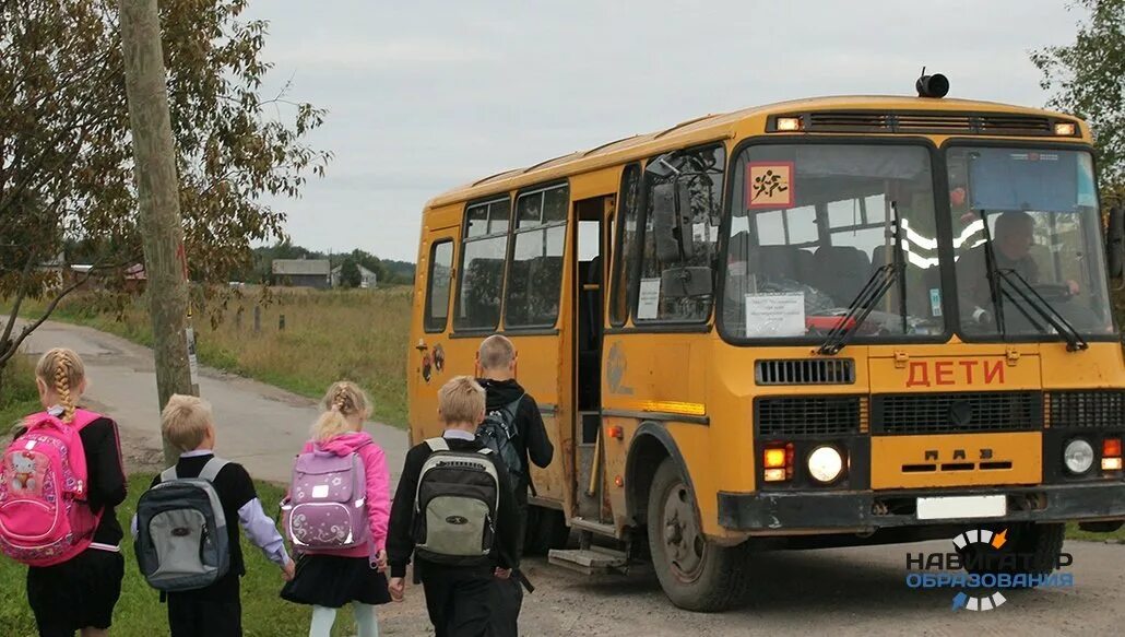 Специализированные автобусы для перевозки детей. Школьный автобус. автобус для детей. школьный автобус россия. школьный автобус паз.