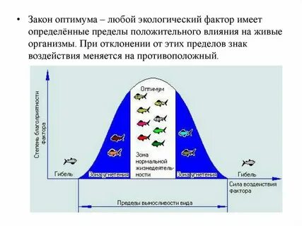 Фактор уровень которого приближается