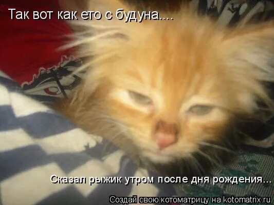 после дня рождения остались