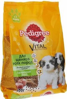 Первый корм