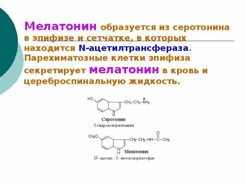 Синтез мелатонина. Мелатонин аминокислота. Мелатонин из аминокислоты. Мелатонин образуется из. Мелатонин из серотонина.