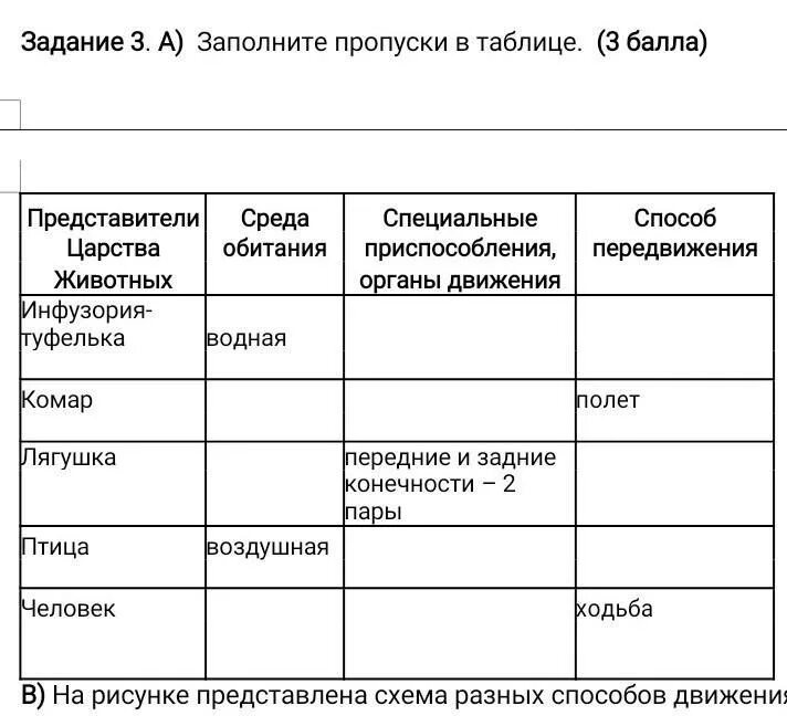 Заполните пропуск в таблице обществознание