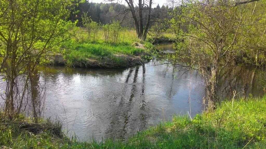 Поселок Краснолесье река красная. Посёлок Краснолесье Калининградская область. Калининград Краснолесье озеро. Река черная Краснолесье. Река красненькая