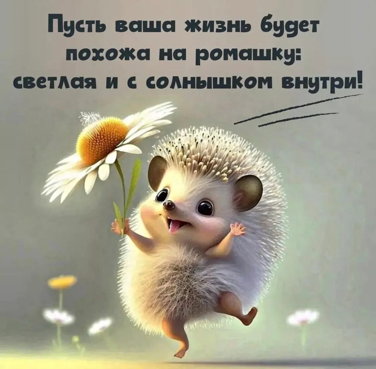 Зона Красоты - Фото OK.RU Доброе утро, Веселые картинки, Смешные открытки