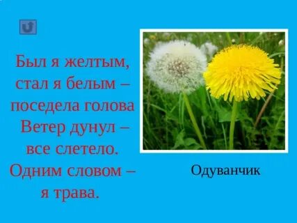 Рос шар бел дунул загадка