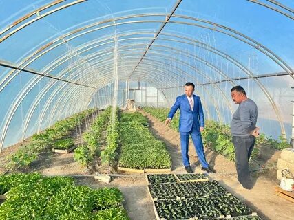 Қыз жамбастарын қысу арқылы кондициялайды