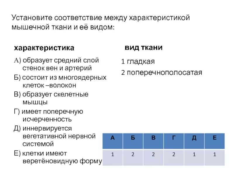 Установите соответствие между мышцами и функции