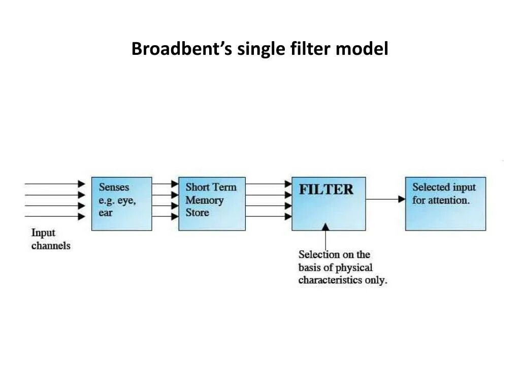 Модель фильтра бродмента. Модель Бродбента. Модель фильтрации Бродбента. Модель внимания Бродбента. Attention model