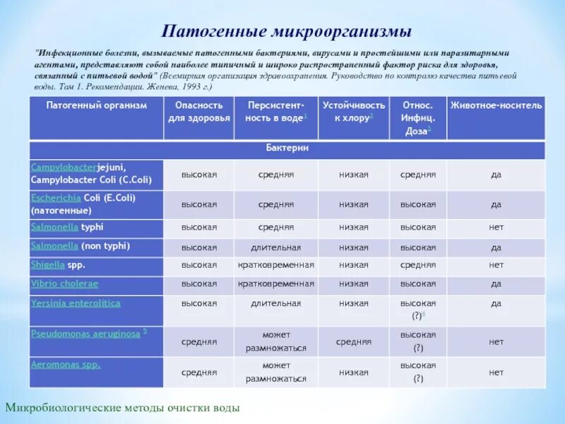 Таблица болезнетворные бактерии. Патогенные микроорганизмы в воде. Таблица патогенные микроорганизмы живущие в воде. Микроорганизмы в питьевой воде. Микрофлора воды таблица.