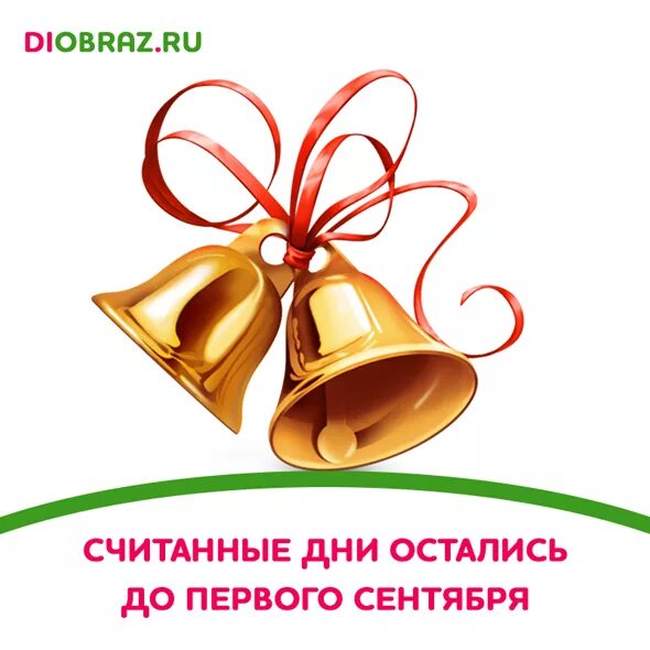 До 1 сентября осталось. До первого сентября осталось. До учебного года осталось. До сентября осталось 1 день. Через сколько недель 1 сентября