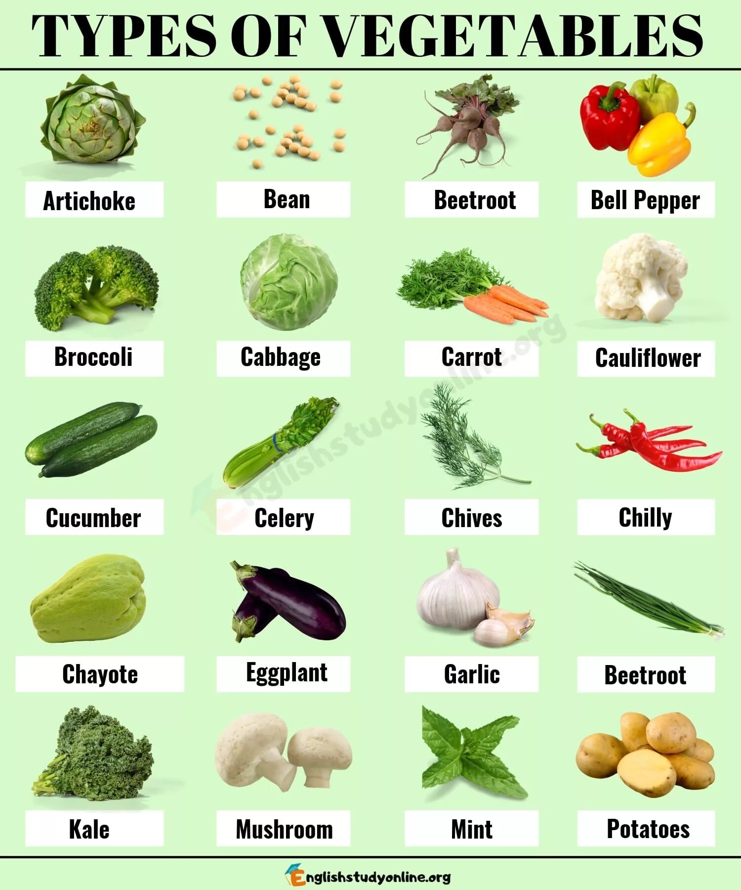 Овощи слова русский. Names of Vegetables in English. Овощи на английском. Овощи названия. Овощи рна англ.