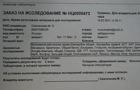 Луганская диагностическая лаборатория результат