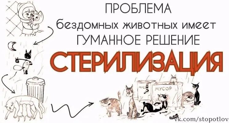 Хочу стерилизовать. Бездомные животные стерилизация. Стерилизация растительного материала. Стерилизация рисунок. Вещества для стерилизации.