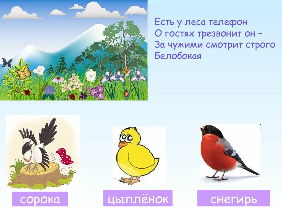 Загадки про птиц 4 лет. Загадки про птиц. Загадки про птиц для детей. Загадки про птиц для дошкольников. Загадка про птичку.